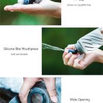 פיית הפלאסק